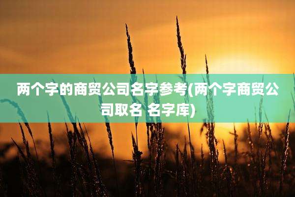 两个字的商贸公司名字参考(两个字商贸公司取名 名字库)