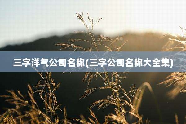 三字洋气公司名称(三字公司名称大全集)