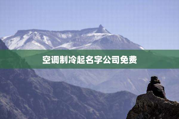 空调制冷起名字公司免费