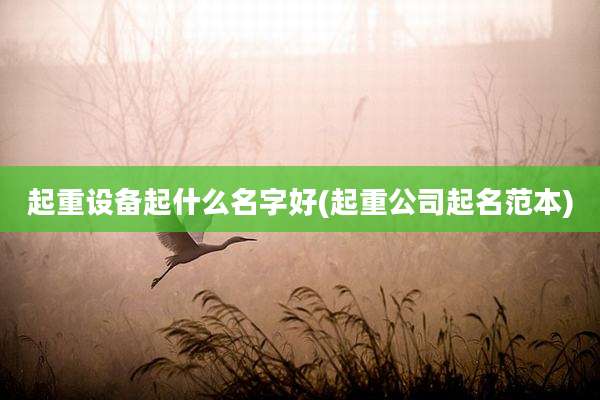 起重设备起什么名字好(起重公司起名范本)