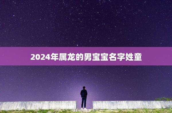 2024年属龙的男宝宝名字姓童