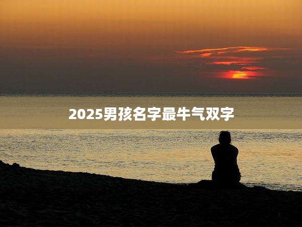 2025男孩名字最牛气双字