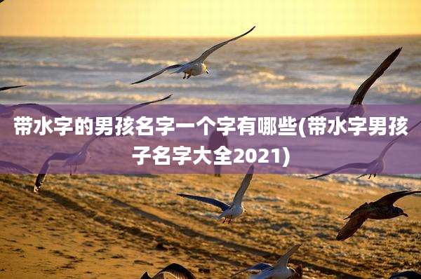 带水字的男孩名字一个字有哪些(带水字男孩子名字大全2021)