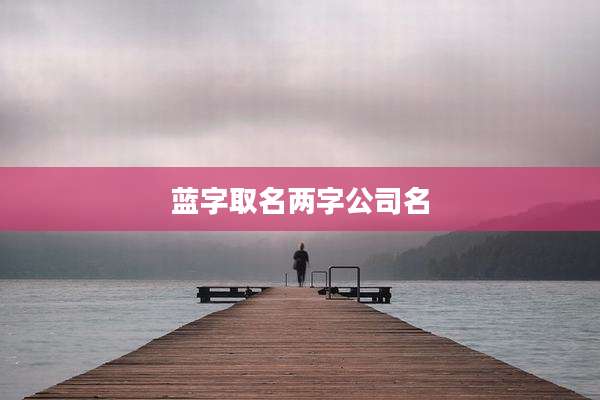 蓝字取名两字公司名