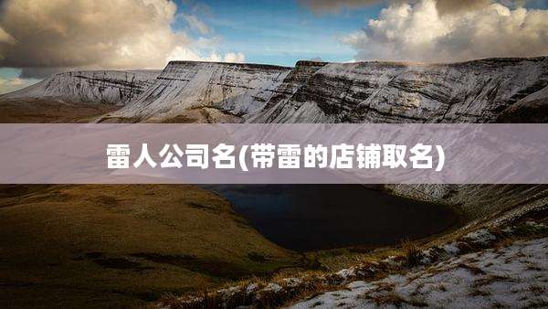 雷人公司名(带雷的店铺取名)