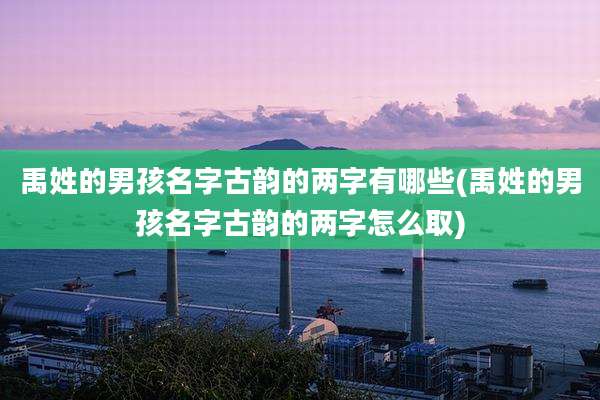 禹姓的男孩名字古韵的两字有哪些(禹姓的男孩名字古韵的两字怎么取)