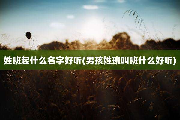 姓班起什么名字好听(男孩姓班叫班什么好听)