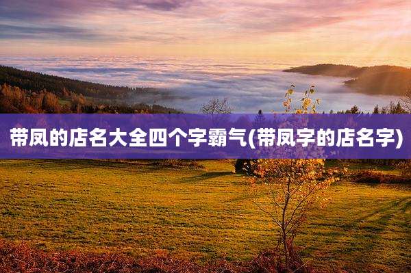 带凤的店名大全四个字霸气(带凤字的店名字)