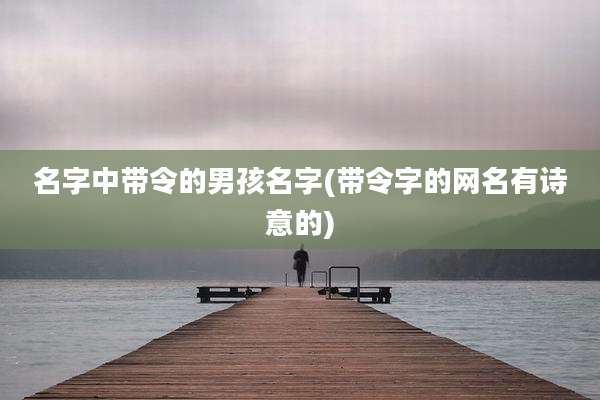 名字中带令的男孩名字(带令字的网名有诗意的)