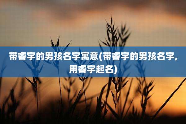 带睿字的男孩名字寓意(带睿字的男孩名字,用睿字起名)