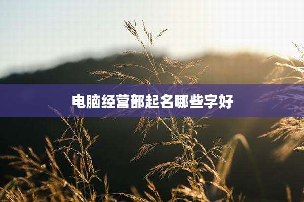 电脑经营部起名哪些字好