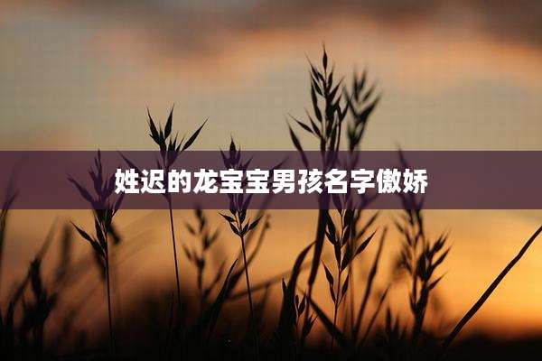 姓迟的龙宝宝男孩名字傲娇
