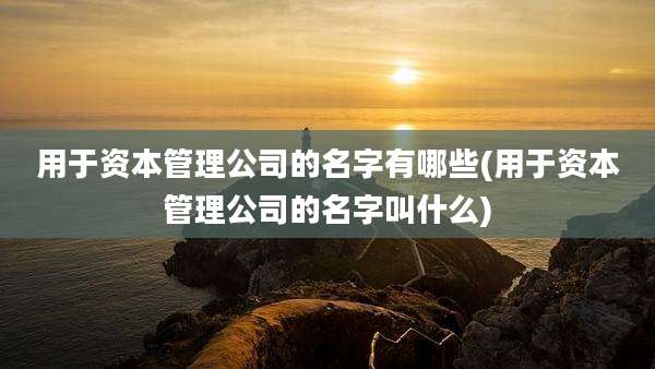用于资本管理公司的名字有哪些(用于资本管理公司的名字叫什么)