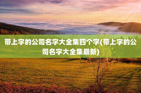 带上字的公司名字大全集四个字(带上字的公司名字大全集最新)