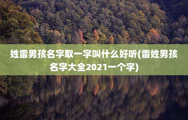 姓雷男孩名字取一字叫什么好听(雷姓男孩名字大全2021一个字)