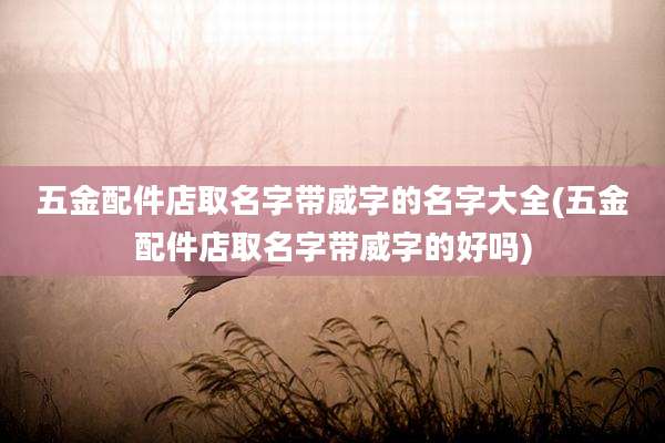 五金配件店取名字带威字的名字大全(五金配件店取名字带威字的好吗)