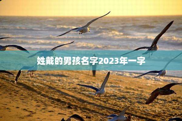 姓戴的男孩名字2023年一字