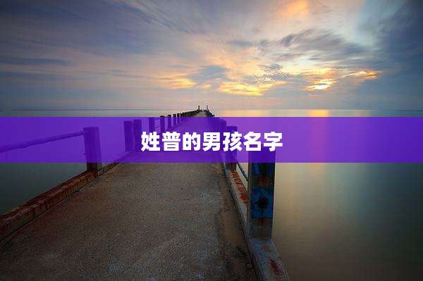 姓普的男孩名字