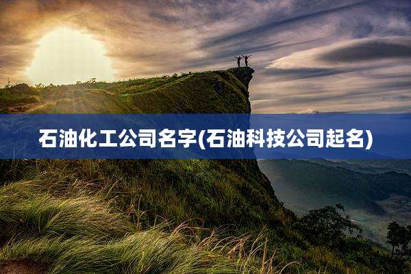 石油化工公司名字(石油科技公司起名)
