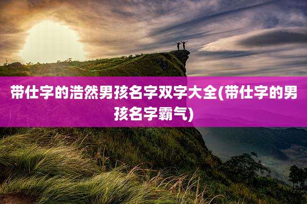 带仕字的浩然男孩名字双字大全(带仕字的男孩名字霸气)