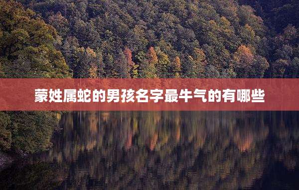 蒙姓属蛇的男孩名字最牛气的有哪些