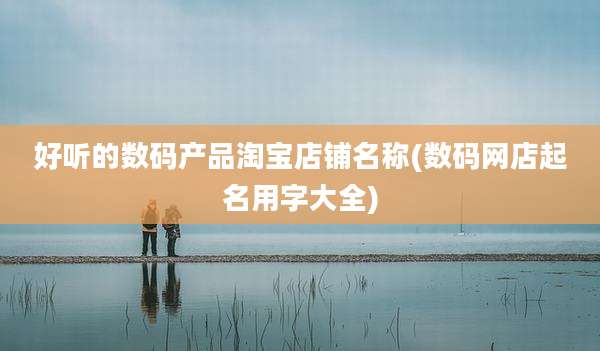 好听的数码产品淘宝店铺名称(数码网店起名用字大全)