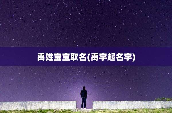 禹姓宝宝取名(禹字起名字)
