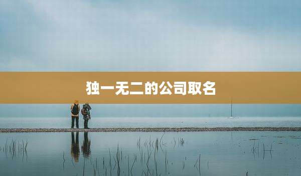 独一无二的公司取名