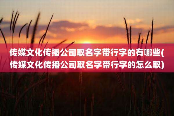 传媒文化传播公司取名字带行字的有哪些(传媒文化传播公司取名字带行字的怎么取)