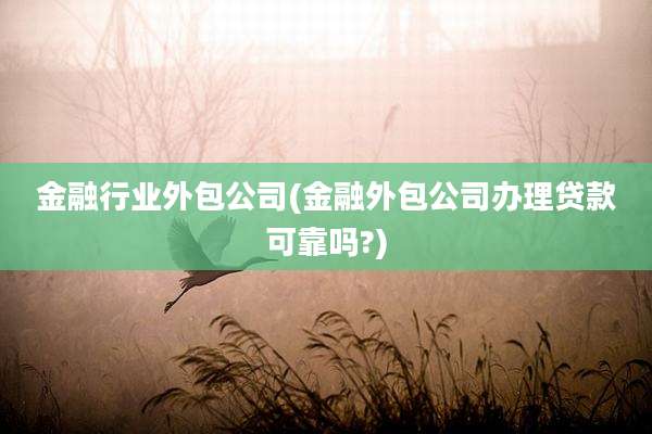 金融行业外包公司(金融外包公司办理贷款可靠吗?)