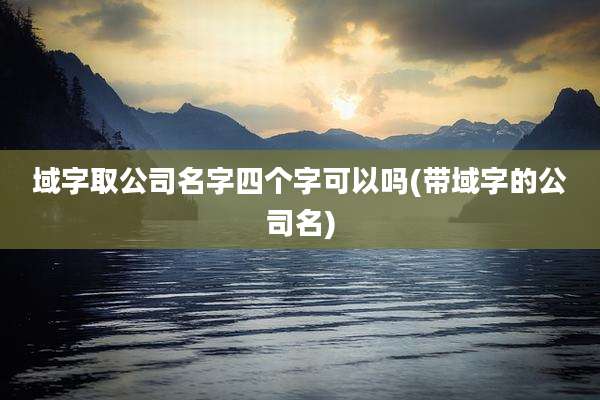 域字取公司名字四个字可以吗(带域字的公司名)