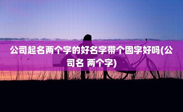 公司起名两个字的好名字带个固字好吗(公司名 两个字)