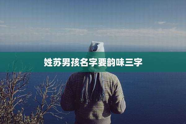 姓苏男孩名字要韵味三字