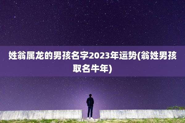 姓翁属龙的男孩名字2023年运势(翁姓男孩取名牛年)