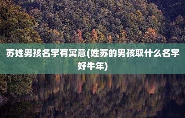 苏姓男孩名字有寓意(姓苏的男孩取什么名字好牛年)