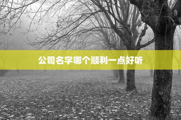 公司名字哪个顺利一点好听
