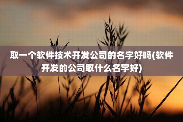 取一个软件技术开发公司的名字好吗(软件开发的公司取什么名字好)