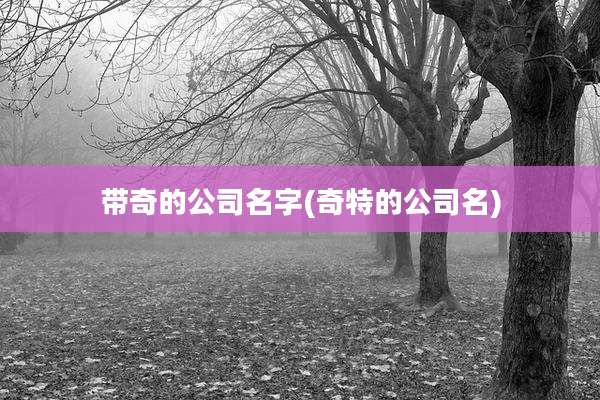 带奇的公司名字(奇特的公司名)
