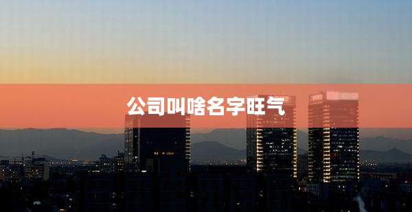 公司叫啥名字旺气