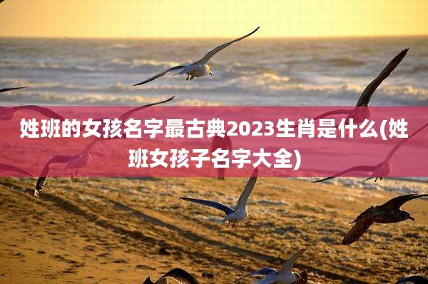 姓班的女孩名字最古典2023生肖是什么(姓班女孩子名字大全)