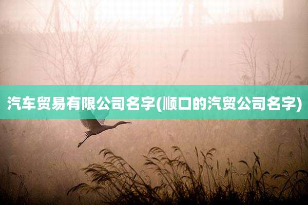 汽车贸易有限公司名字(顺口的汽贸公司名字)