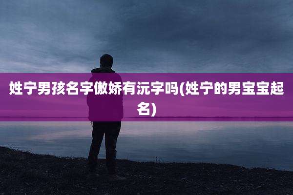姓宁男孩名字傲娇有沅字吗(姓宁的男宝宝起名)