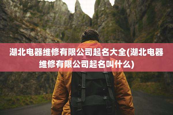 湖北电器维修有限公司起名大全(湖北电器维修有限公司起名叫什么)