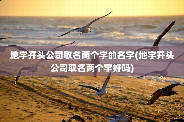 地字开头公司取名两个字的名字(地字开头公司取名两个字好吗)