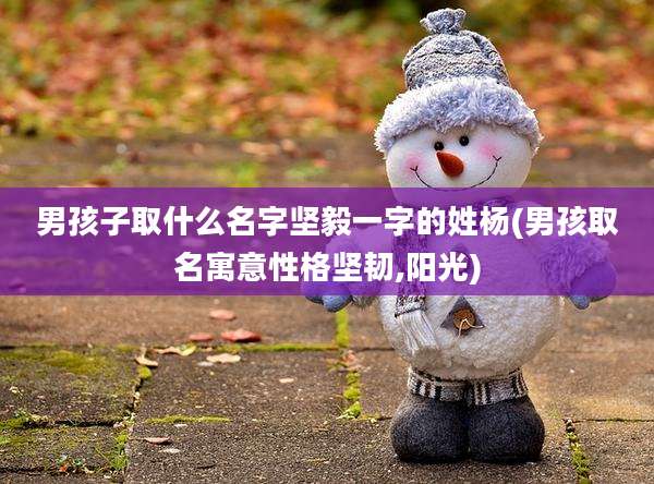 男孩子取什么名字坚毅一字的姓杨(男孩取名寓意性格坚韧,阳光)