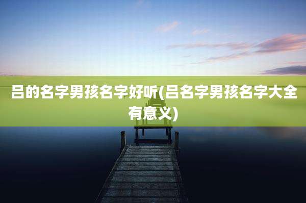 吕的名字男孩名字好听(吕名字男孩名字大全有意义)