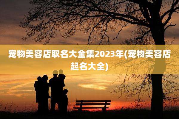 宠物美容店取名大全集2023年(宠物美容店起名大全)