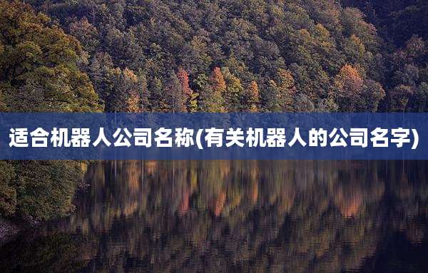 适合机器人公司名称(有关机器人的公司名字)