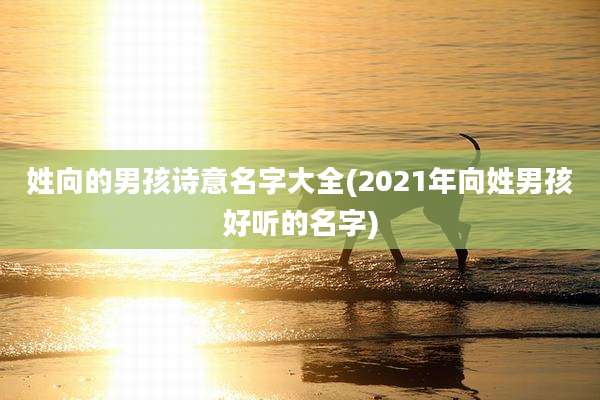 姓向的男孩诗意名字大全(2021年向姓男孩好听的名字)