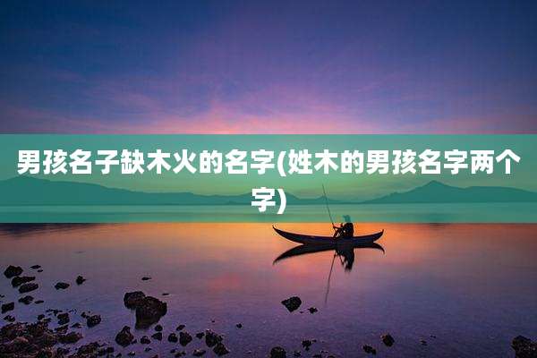 男孩名子缺木火的名字(姓木的男孩名字两个字)